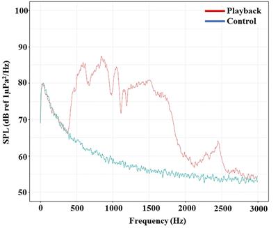 Annoying noise: effect of anthropogenic underwater noise on the movement and feeding performance in the red cherry shrimp, Neocaridina davidi